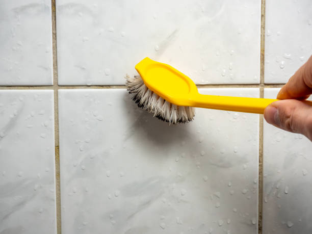 Best Mold Remediation  in Josephine, TX