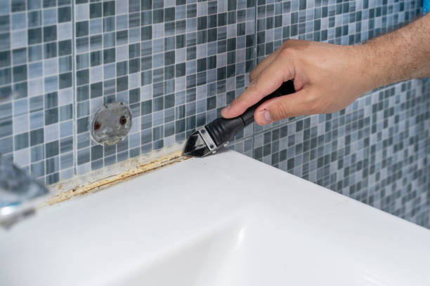 Certified Mold Removal in Josephine, TX