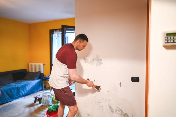 Best Crawl Space Mold Removal  in Josephine, TX